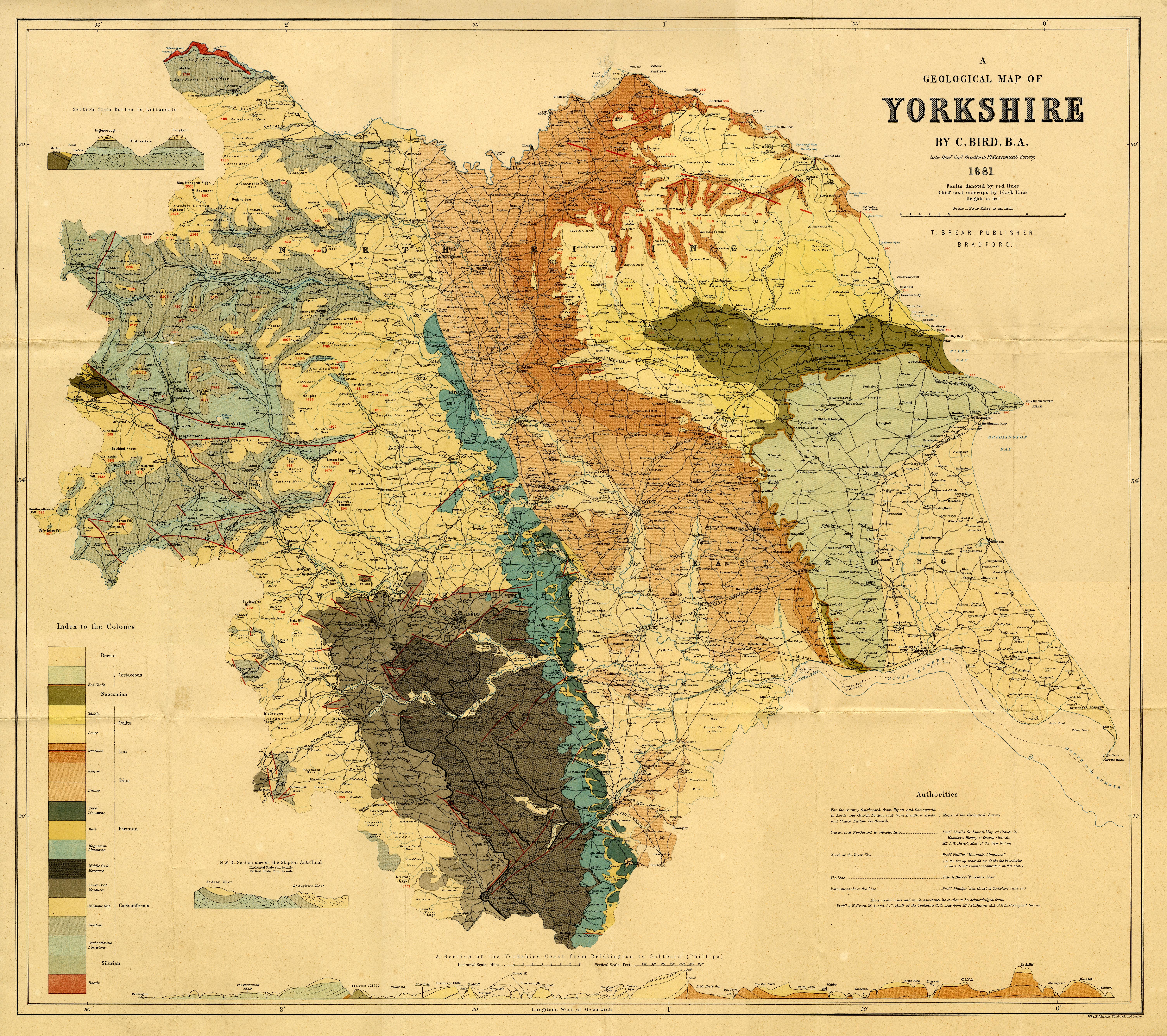 large image BRD1.jpg