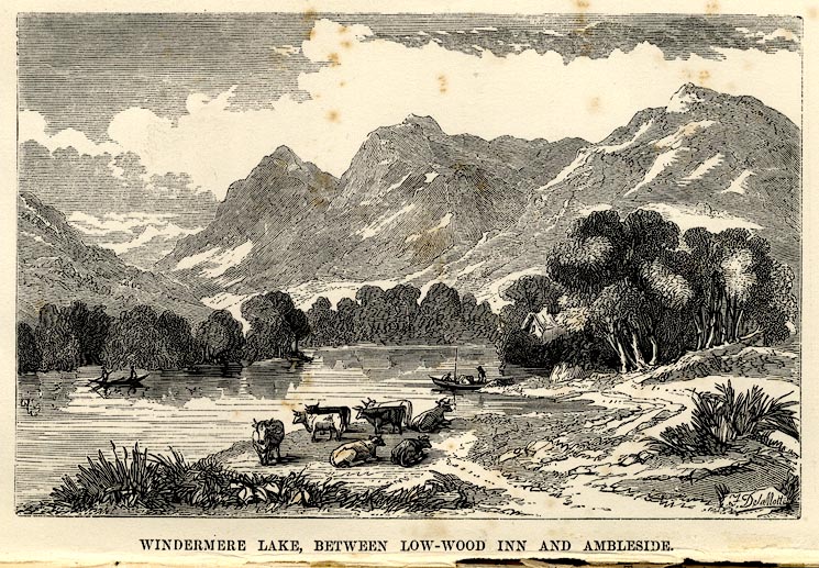 the image acts as a back button