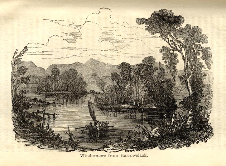 the image acts as a back button