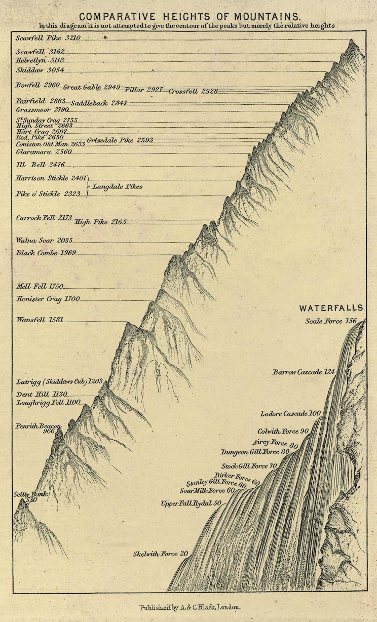 the image acts as a back button