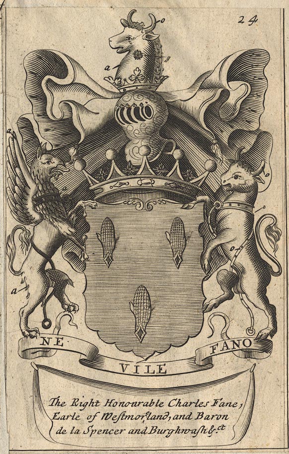 the image acts as a back button