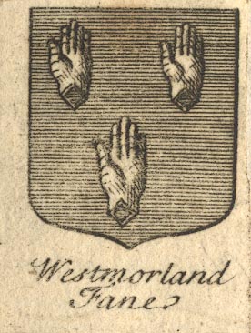 the image acts as a back button