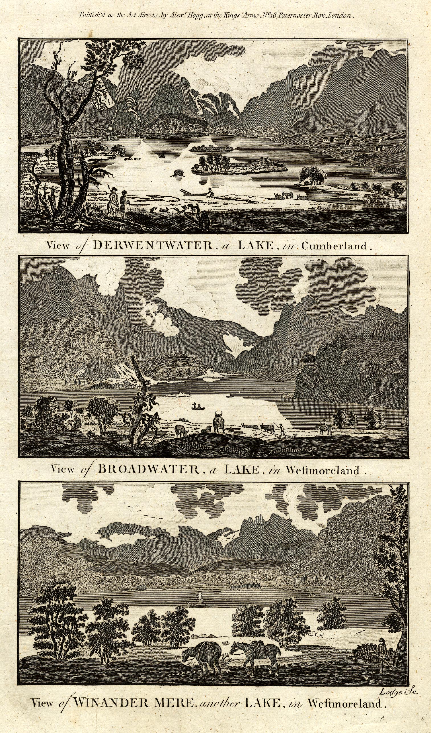 the image acts as a back button