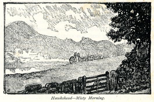 the image acts as a back button