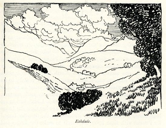 the image acts as a back button