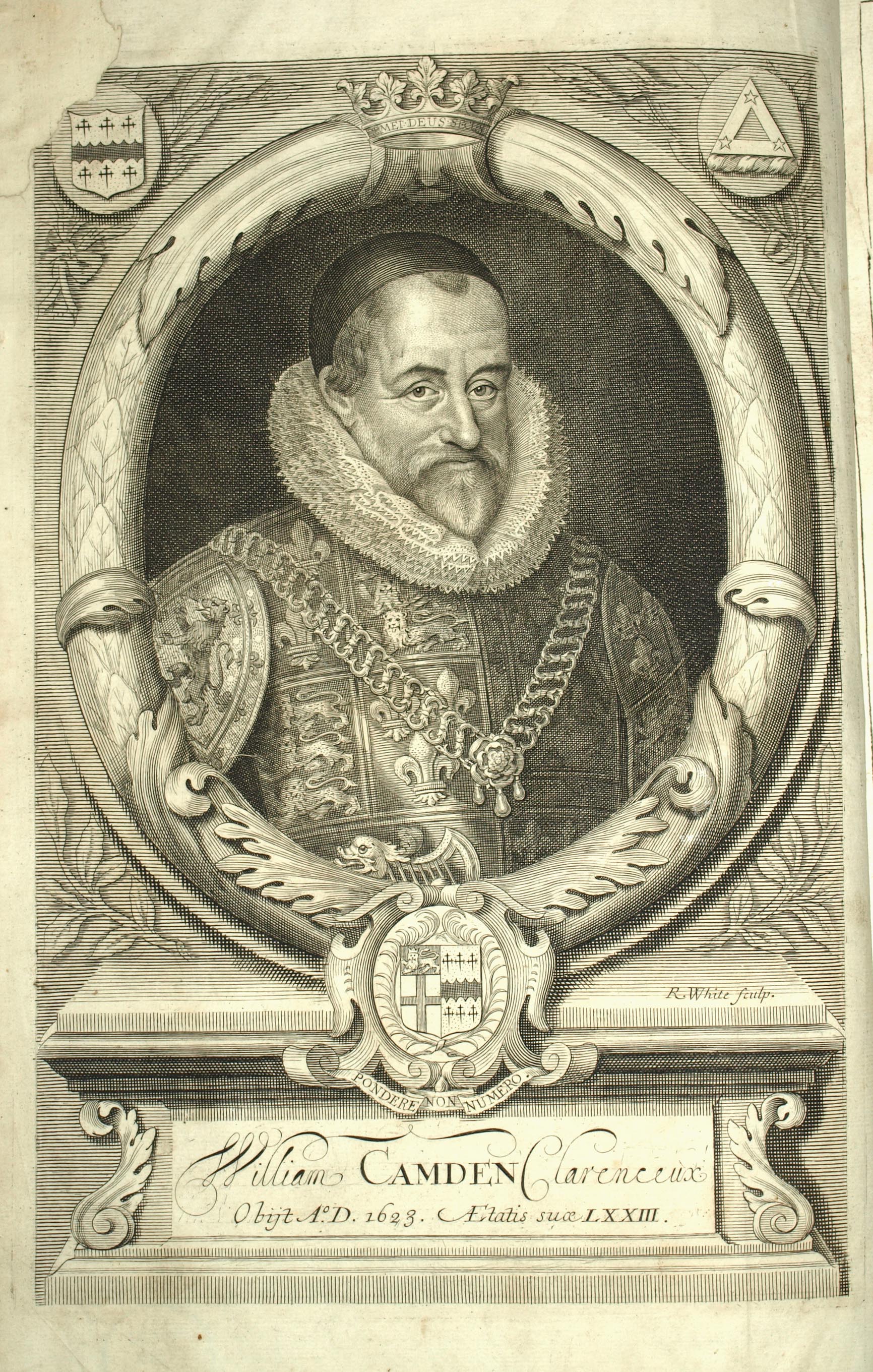 the image acts as a back button