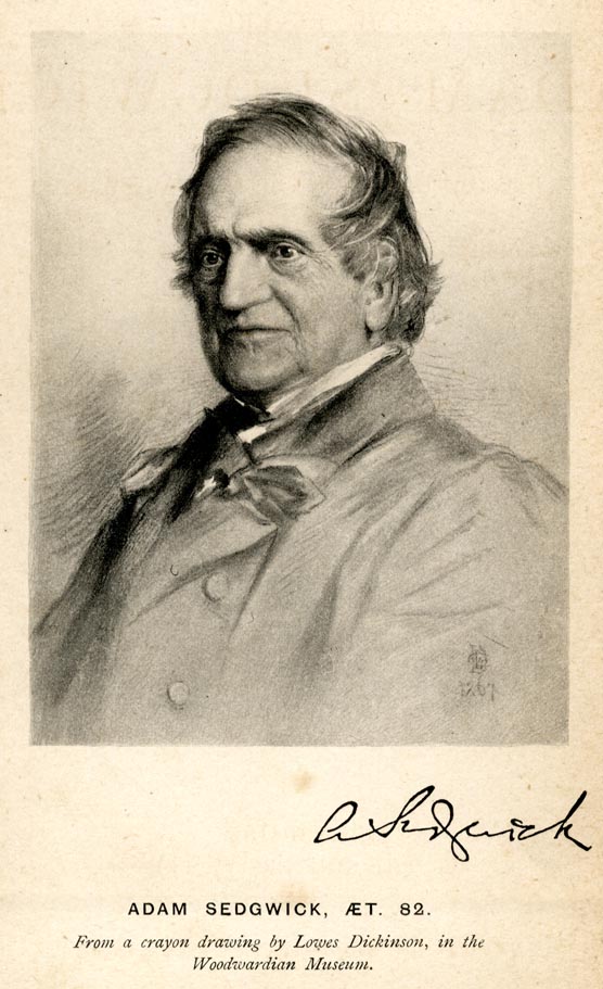 the image acts as a back button