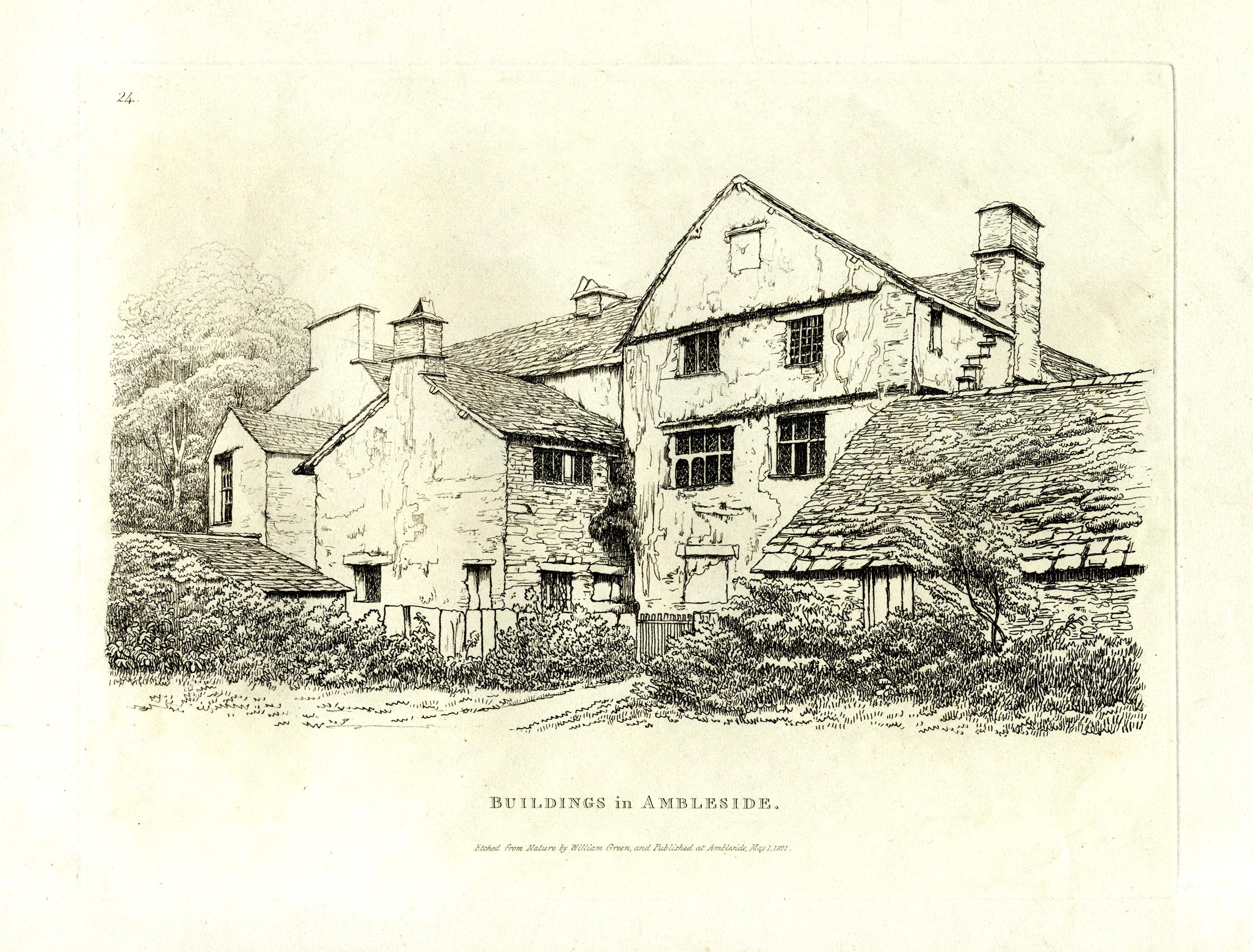 the image acts as a back button