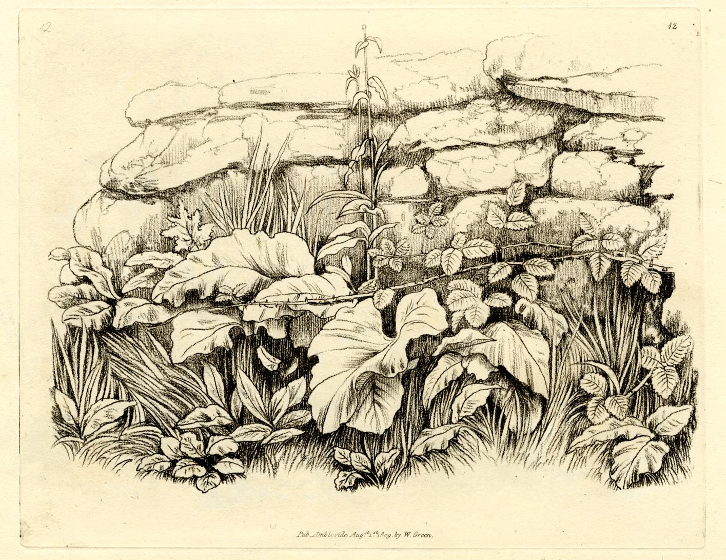 the image acts as a back button