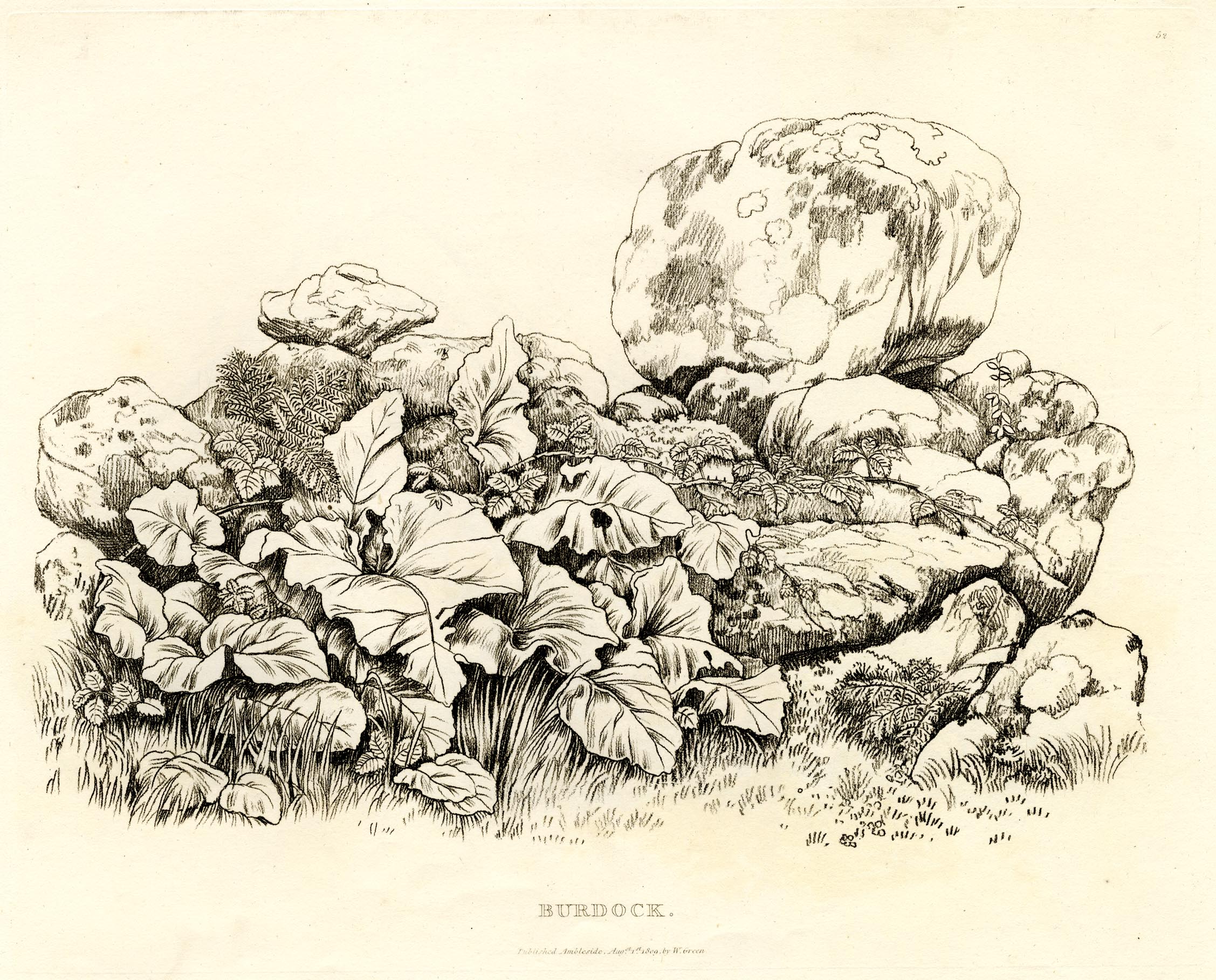 the image acts as a back button