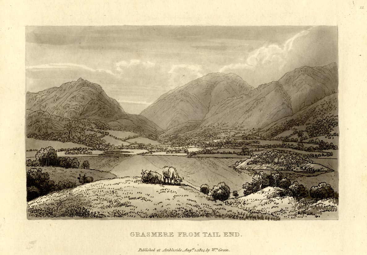 the image acts as a back button