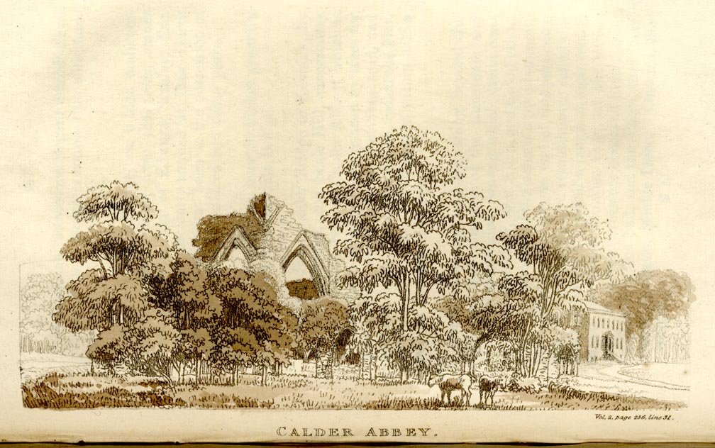 the image acts as a back button