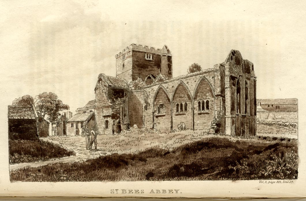 the image acts as a back button