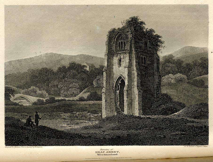 the image acts as a back button