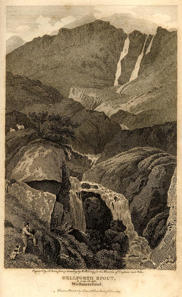 the image acts as a back button