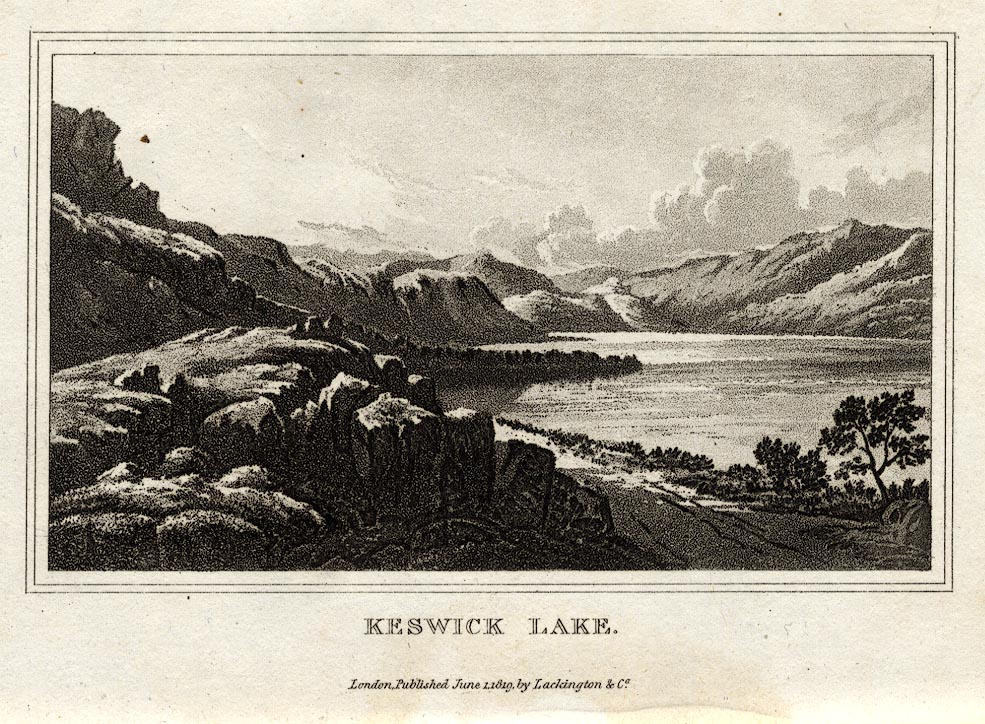 the image acts as a back button