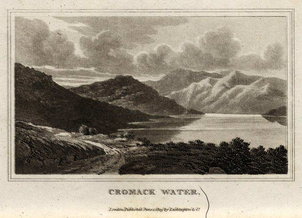 the image acts as a back button