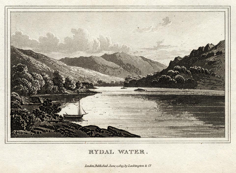 the image acts as a back button