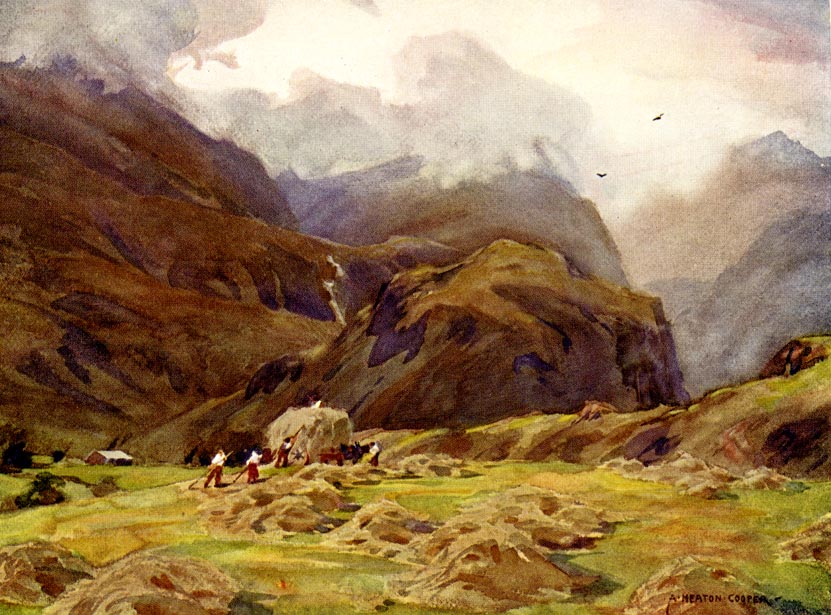 the image acts as a back button