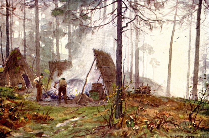 the image acts as a back button