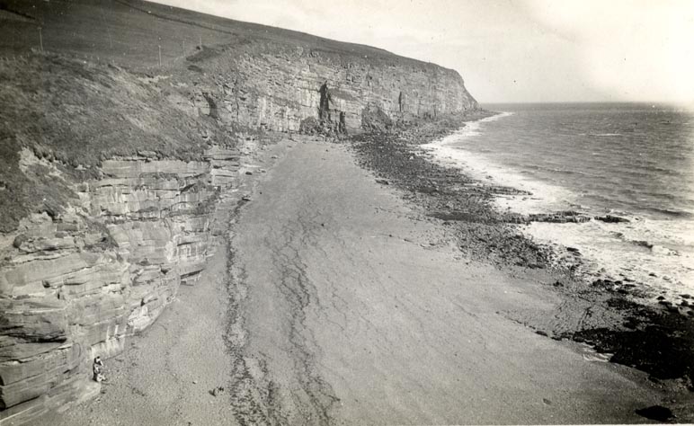 the image acts as a back button