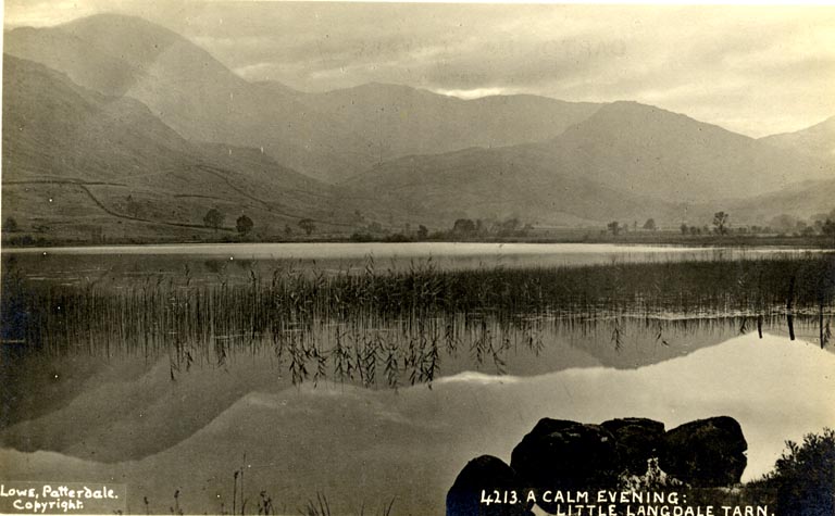 the image acts as a back button