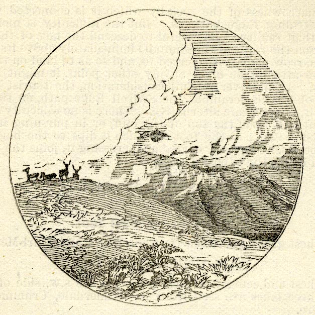 the image acts as a back button