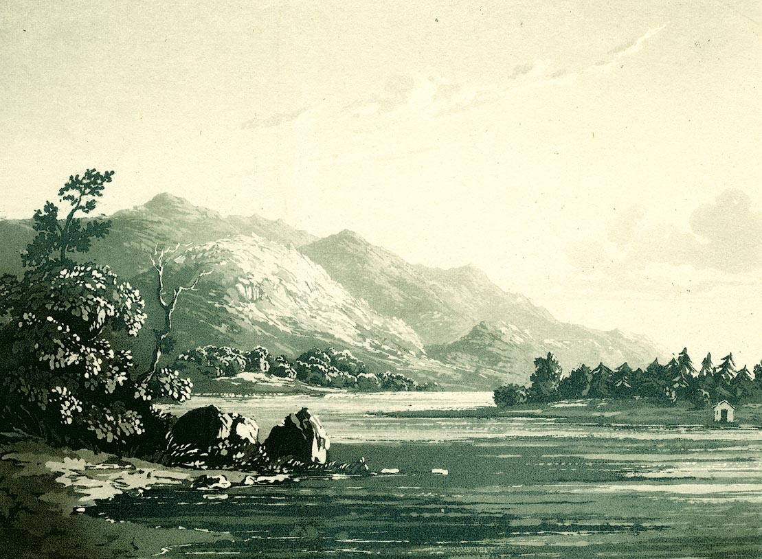 the image acts as a back button