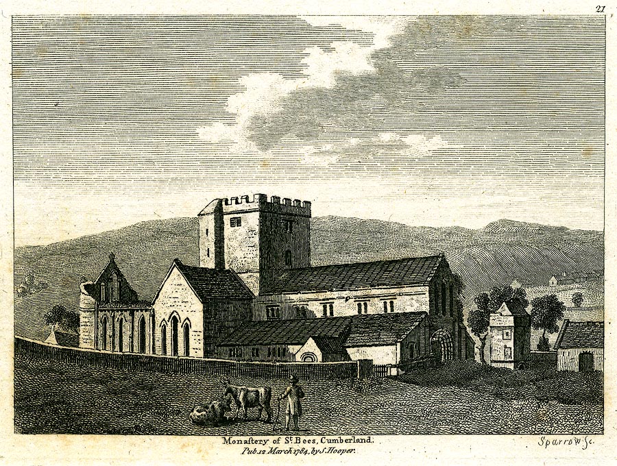 the image acts as a back button