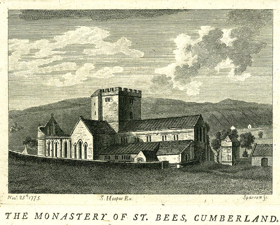 the image acts as a back button