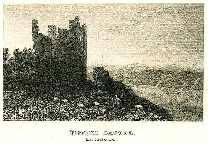 the image acts as a back button