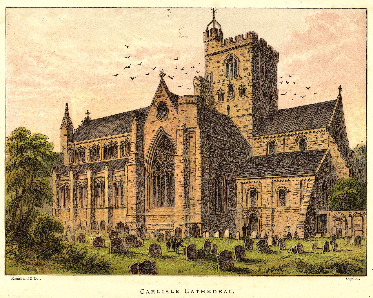 the image acts as a back button