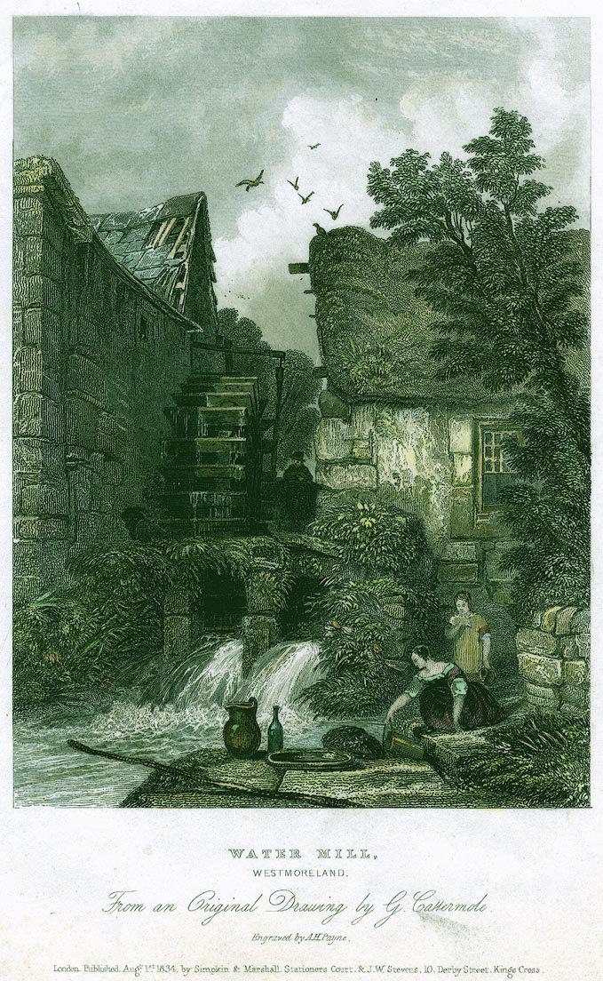 the image acts as a back button