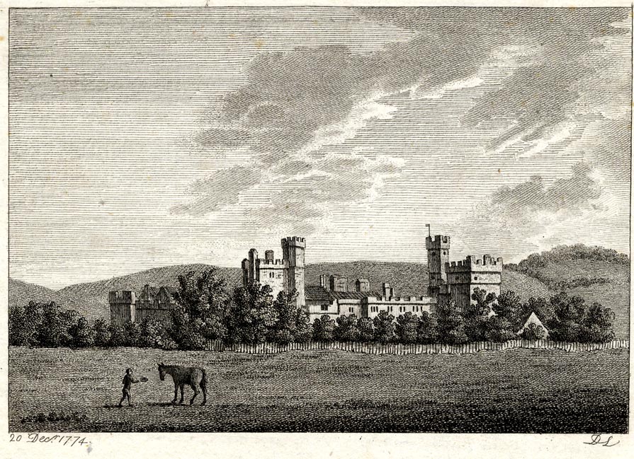 the image acts as a back button