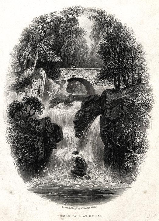 the image acts as a back button