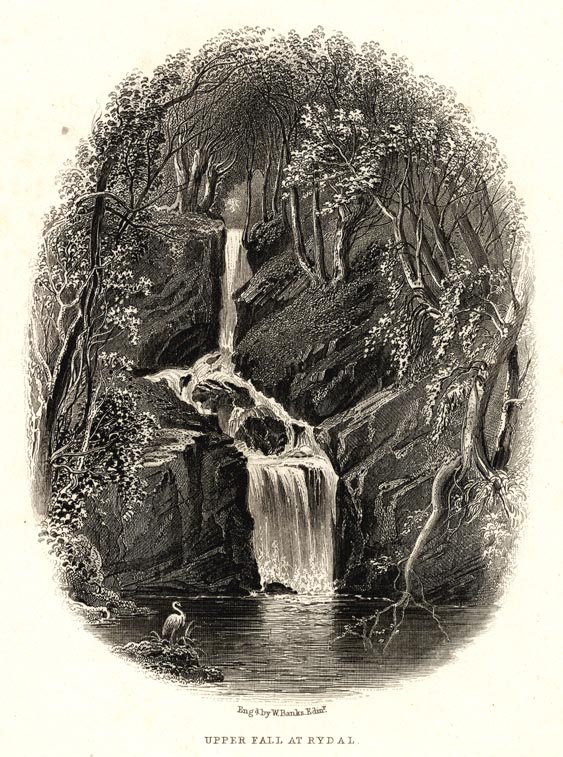 the image acts as a back button