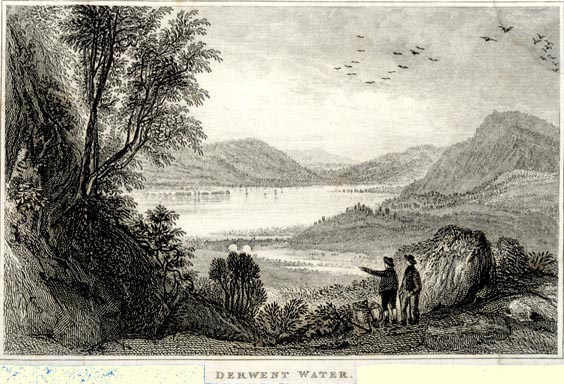 the image acts as a back button