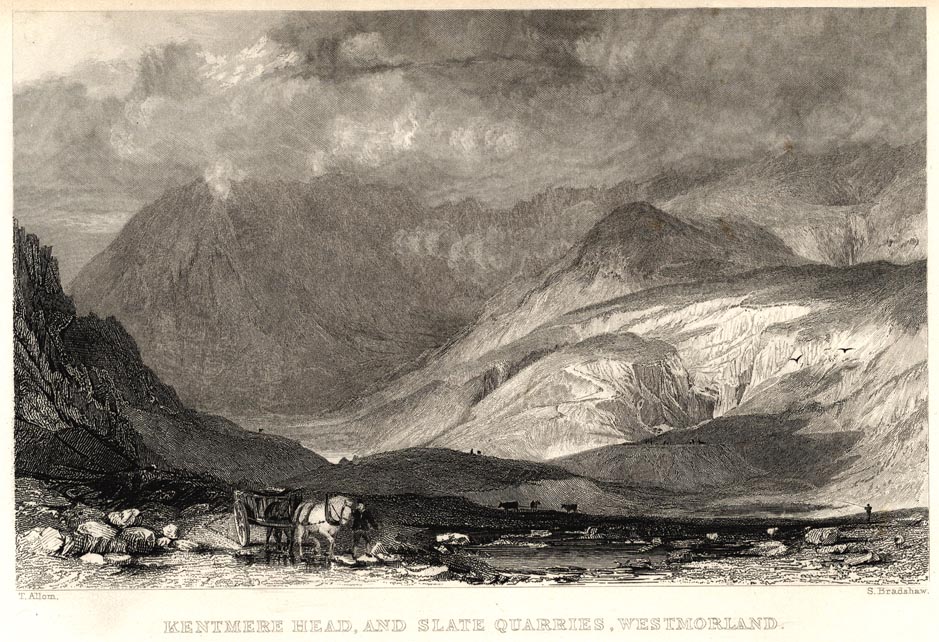 the image acts as a back button