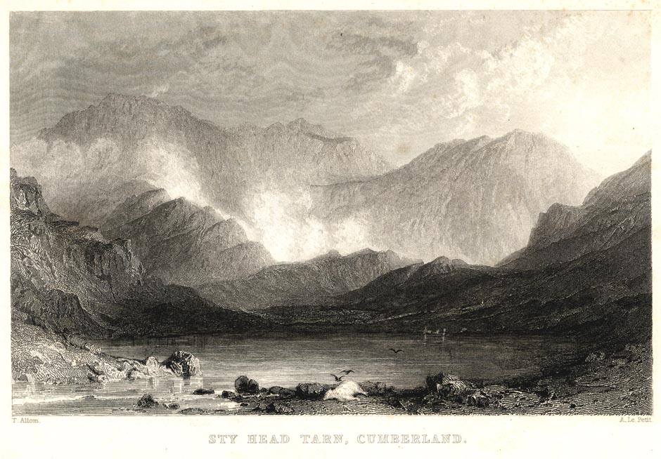 the image acts as a back button