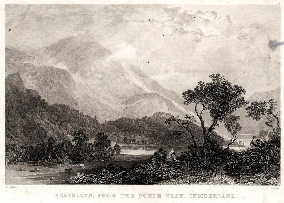 the image acts as a back button