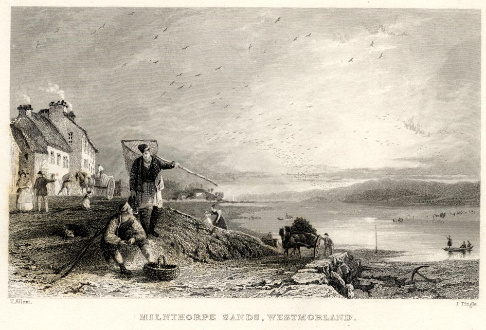 the image acts as a back button