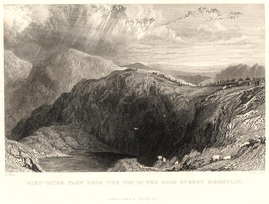 the image acts as a back button