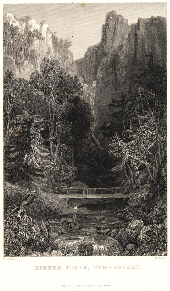 the image acts as a back button