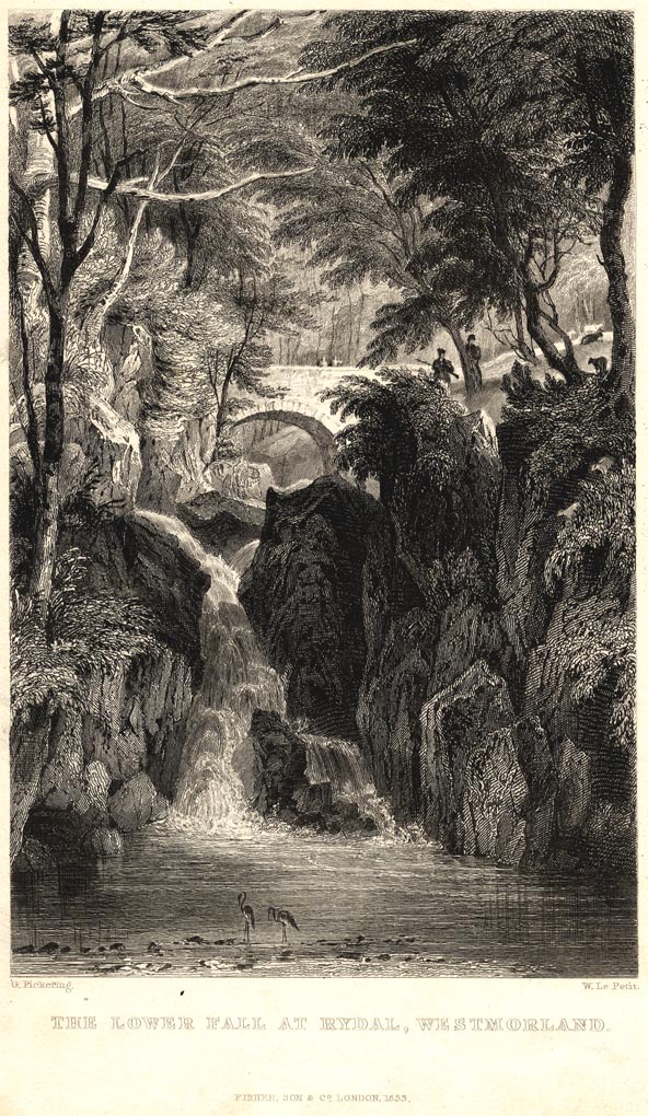 the image acts as a back button