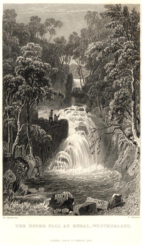 the image acts as a back button