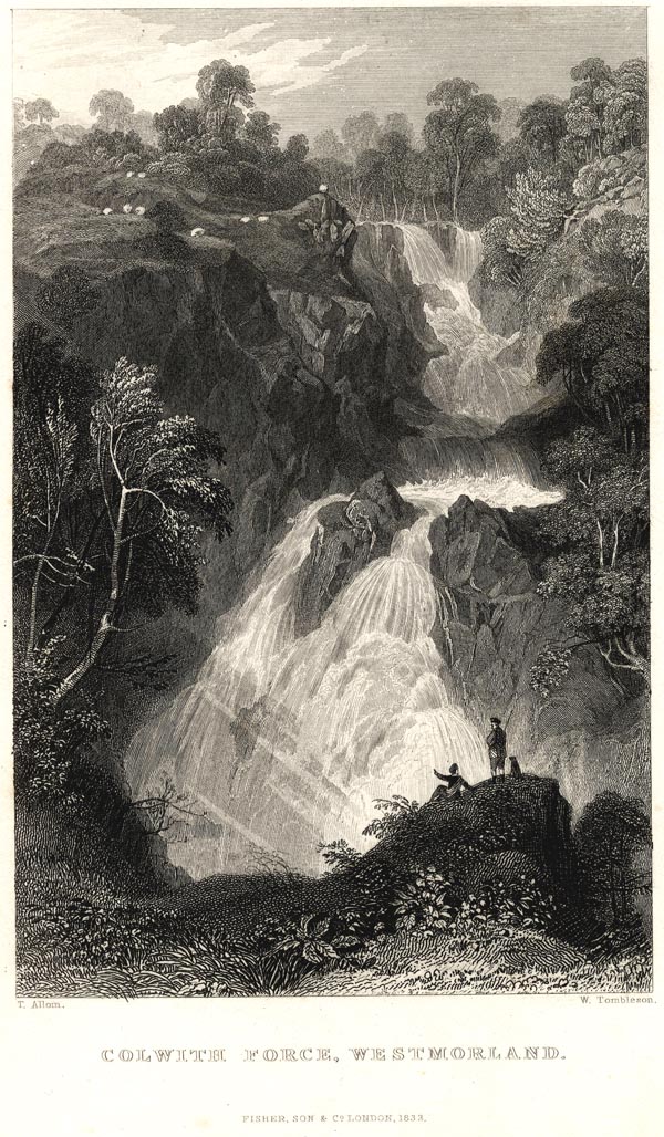 the image acts as a back button