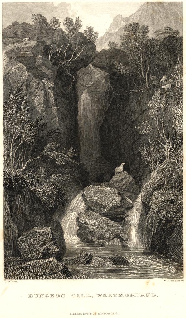 the image acts as a back button