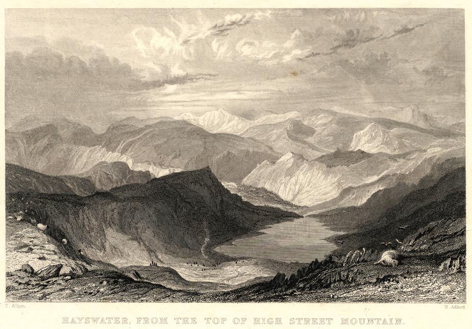 the image acts as a back button