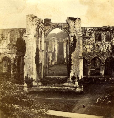 the image acts as a back button