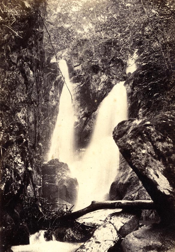 the image acts as a back button